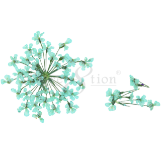 Cre8tion Nail Art Charms, Teal, B038